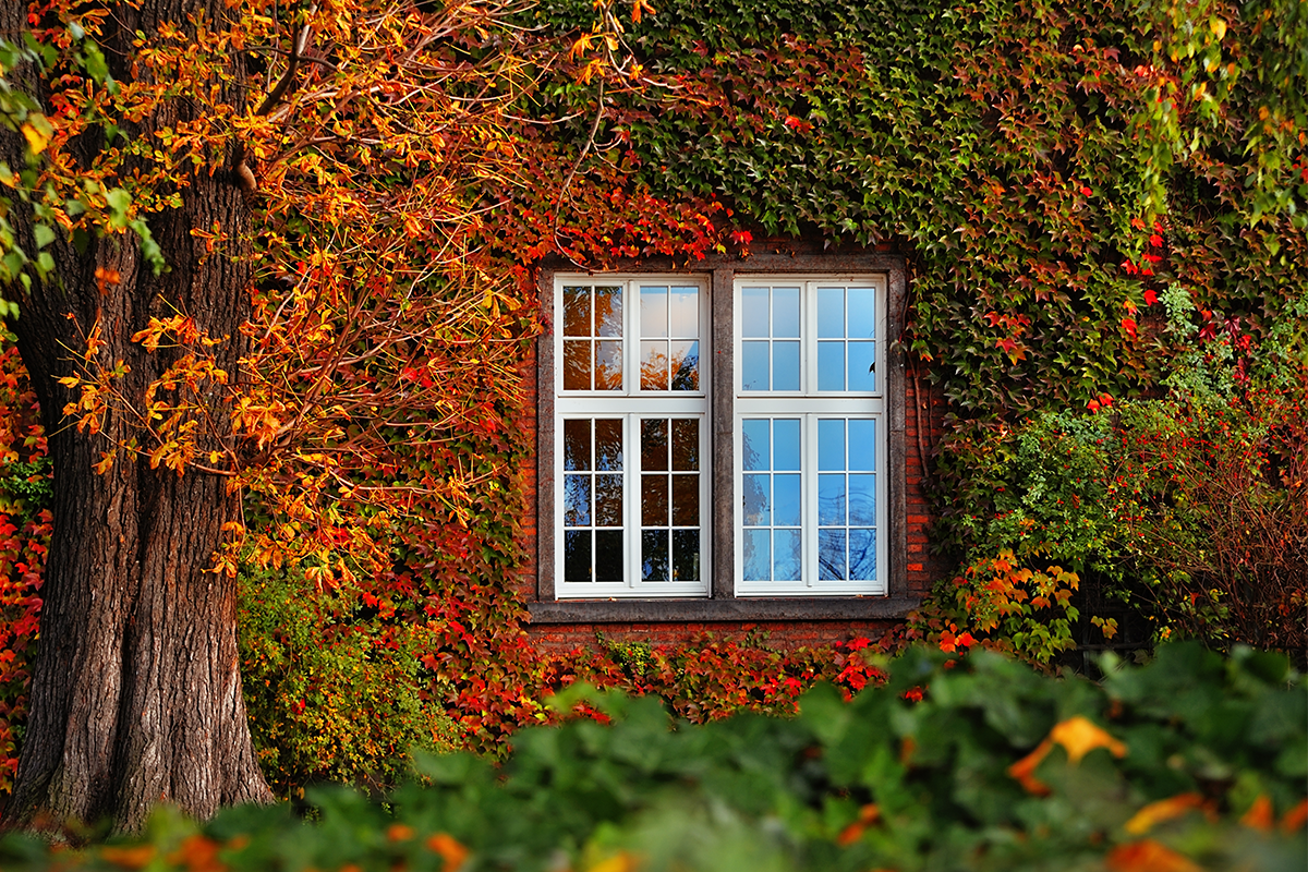 Des fenêtres pour le style ou comment choisir les fenêtres pour un intérieur dans les couleurs d’automne 